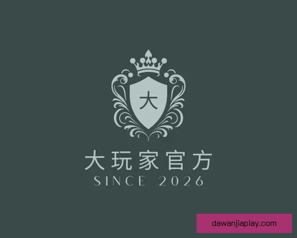 了解大玩家官方